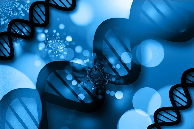 火焰復合劑火貼劑：是制備汽車內飾、鞋材和服裝輔料等復合材料的關鍵助劑，提供優異的耐水洗、耐干洗和耐磨擦性能